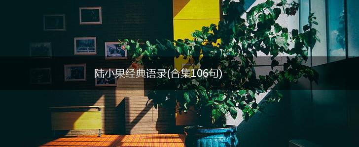 陆小果经典语录(合集106句),第1张
