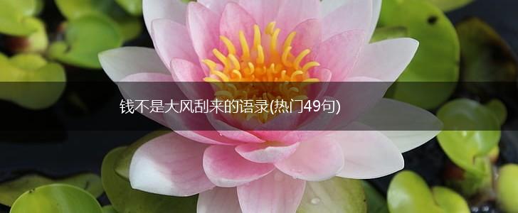 钱不是大风刮来的语录(热门49句),第1张
