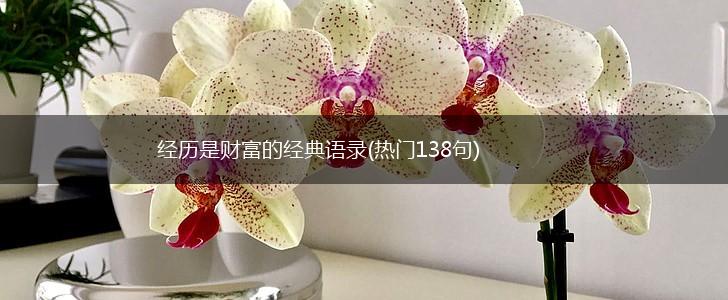经历是财富的经典语录(热门138句),第1张