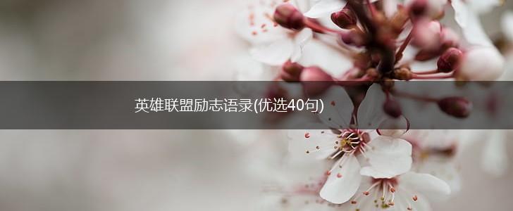 英雄联盟励志语录(优选40句),第1张