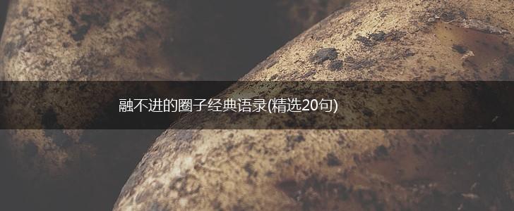 融不进的圈子经典语录(精选20句),第1张