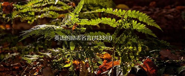 英语的励志名言(共33句),第1张 英语的励志名言(共33句),第1张