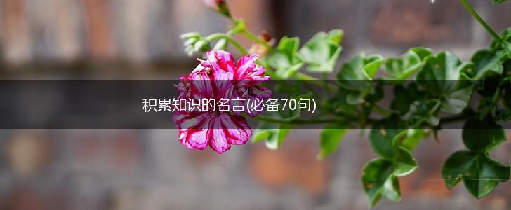 积累知识的名言(必备70句),第1张 积累知识的名言(必备70句),第1张