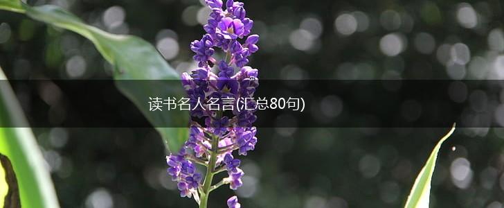 读书名人名言(汇总80句),第1张