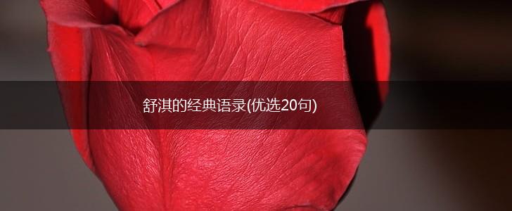 舒淇的经典语录(优选20句),第1张