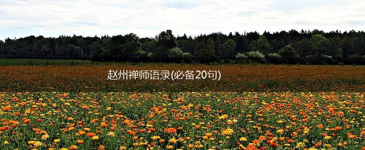 赵州禅师语录(必备20句),第1张