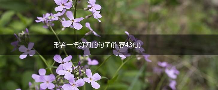 形容一把好刀的句子(推荐43句),第1张