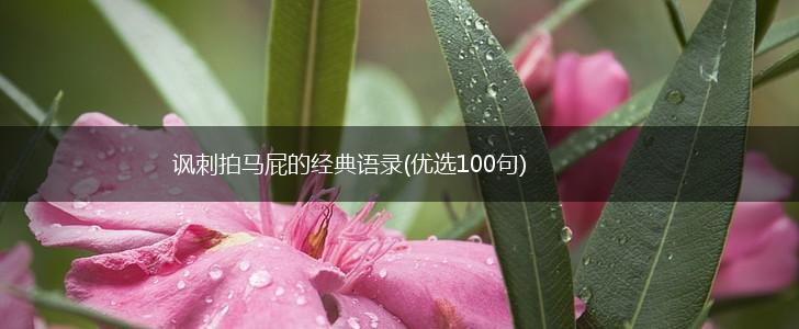 讽刺拍马屁的经典语录(优选100句),第1张