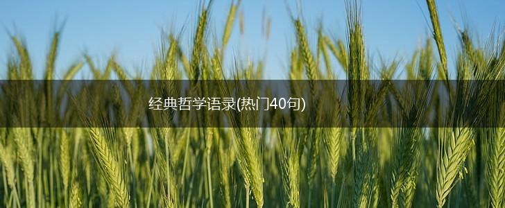 经典哲学语录(热门40句),第1张