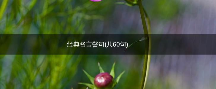 经典名言警句(共60句),第1张 经典名言警句(共60句),第1张