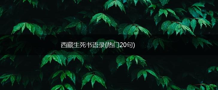 西藏生死书语录(热门20句),第1张