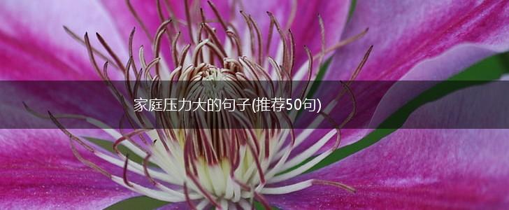 家庭压力大的句子(推荐50句),第1张