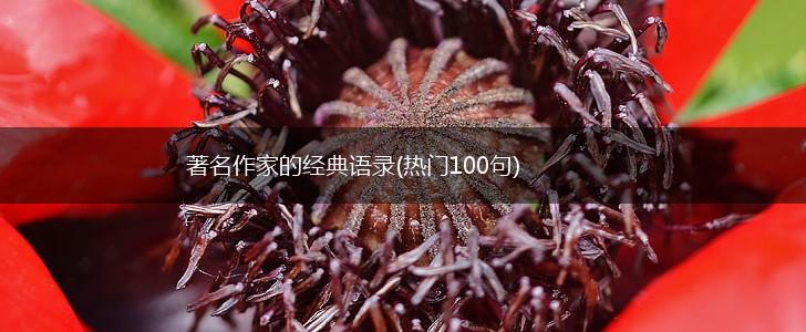 著名作家的经典语录(热门100句),第1张