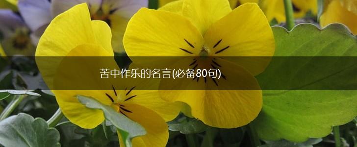 苦中作乐的名言(必备80句),第1张