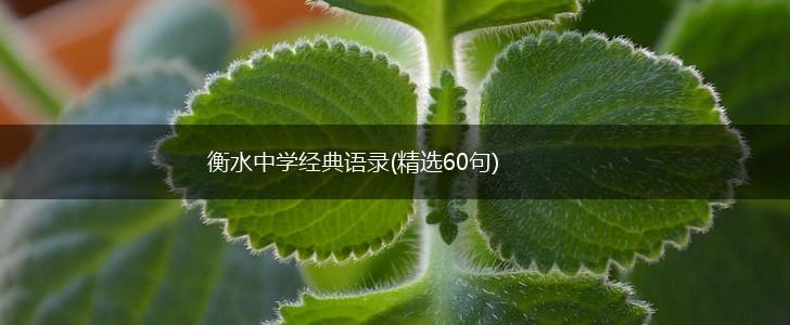 衡水中学经典语录(精选60句),第1张