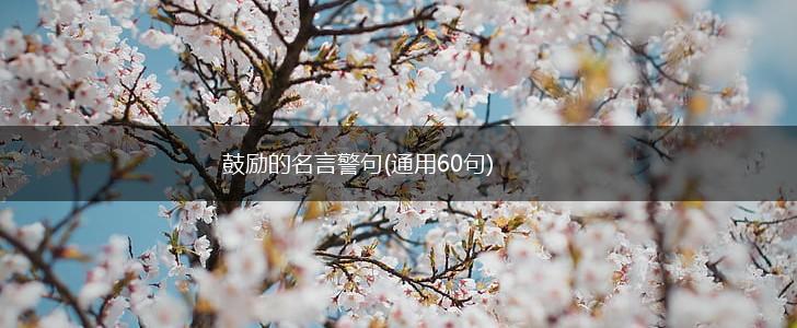 鼓励的名言警句(通用60句),第1张