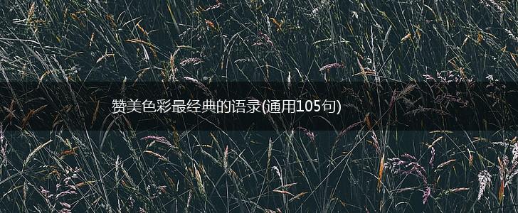 赞美色彩最经典的语录(通用105句),第1张