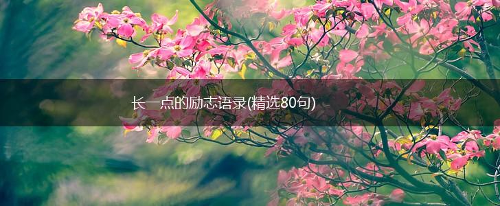 长一点的励志语录(精选80句),第1张