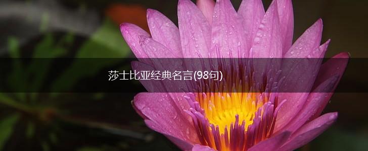 莎士比亚经典名言(98句),第1张 莎士比亚经典名言(98句),第1张