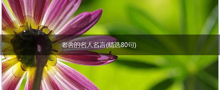 老舍的名人名言(精选80句),第1张 老舍的名人名言(精选80句),第1张