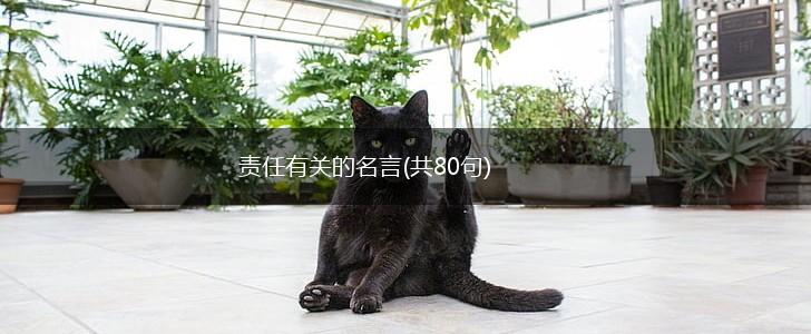 责任有关的名言(共80句),第1张