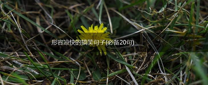形容凉快的搞笑句子(必备20句),第1张