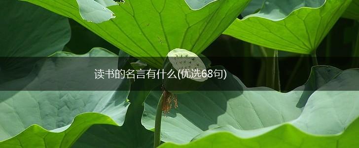 读书的名言有什么(优选68句),第1张 读书的名言有什么(优选68句),第1张