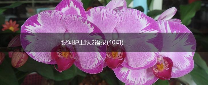 银河护卫队2语录(40句),第1张