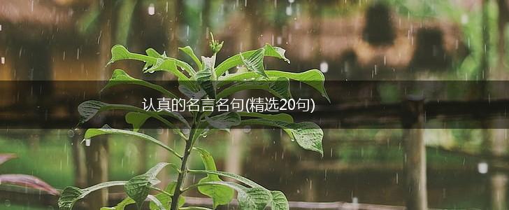 认真的名言名句(精选20句),第1张