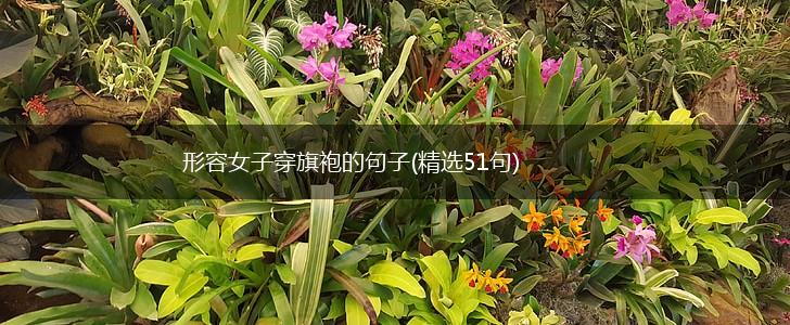形容女子穿旗袍的句子(精选51句),第1张