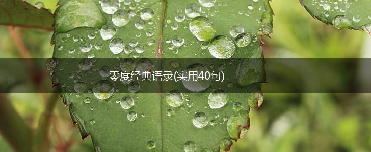零度经典语录(实用40句),第1张