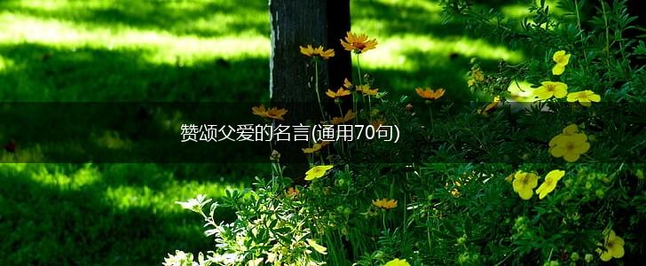 赞颂父爱的名言(通用70句),第1张