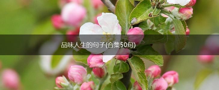 品味人生的句子(合集50句),第1张