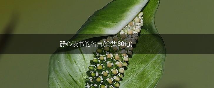 静心读书的名言(合集80句),第1张