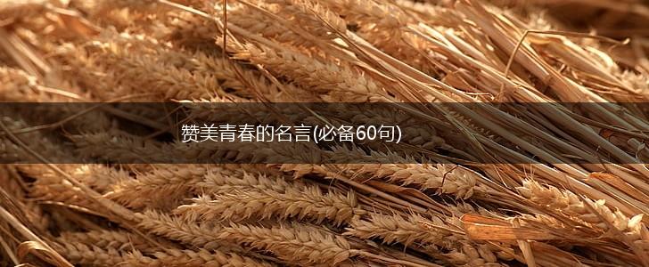 赞美青春的名言(必备60句),第1张