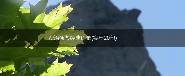 资治通鉴经典语录(实用20句),第1张