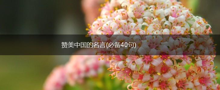赞美中国的名言(必备40句),第1张