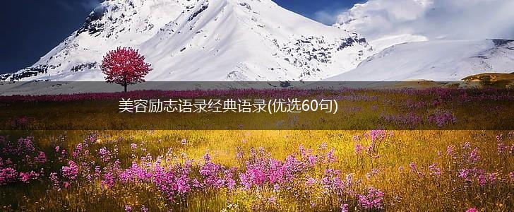 美容励志语录经典语录(优选60句),第1张