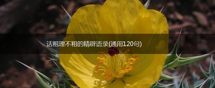 话粗理不粗的精辟语录(通用120句),第1张