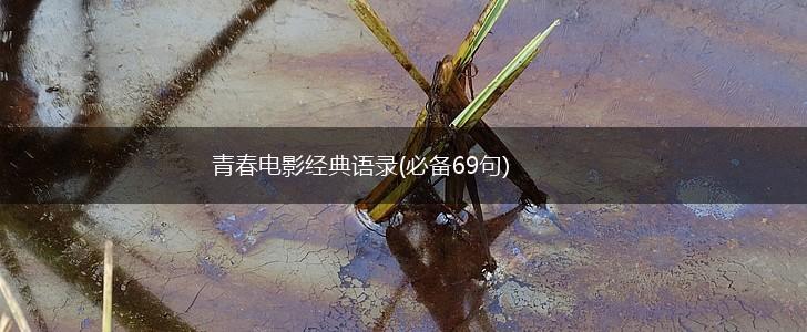 青春电影经典语录(必备69句),第1张