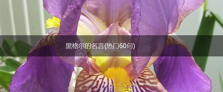 黑格尔的名言(热门60句),第1张