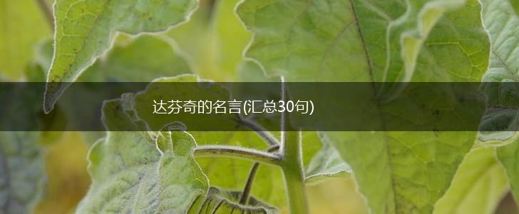 达芬奇的名言(汇总30句),第1张 达芬奇的名言(汇总30句),第1张