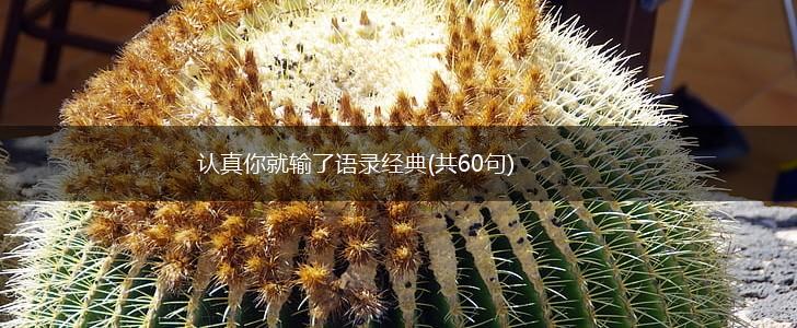 认真你就输了语录经典(共60句),第1张