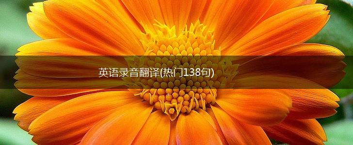 英语录音翻译(热门138句),第1张