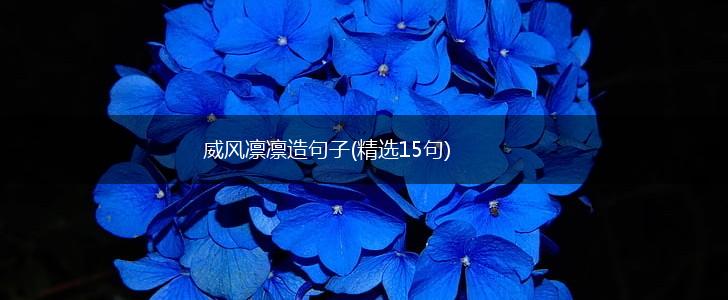 威风凛凛造句子(精选15句),第1张