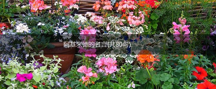 阿基米德的名言(共80句),第1张