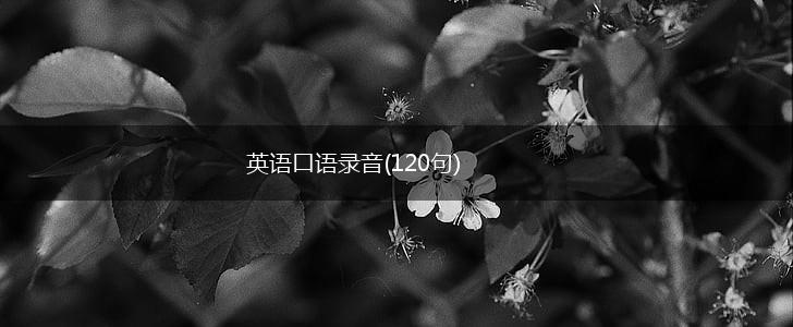 英语口语录音(120句),第1张