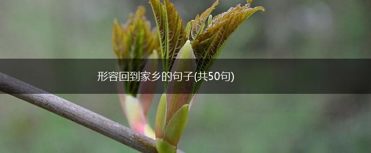 形容回到家乡的句子(共50句),第1张