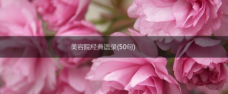 美容院经典语录(50句),第1张