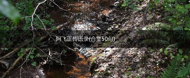 阿飞正传语录(合集50句),第1张
